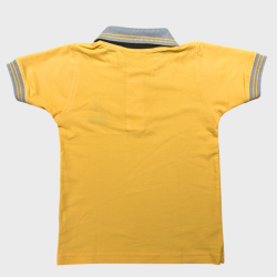 Hummingbird - Vector graphics